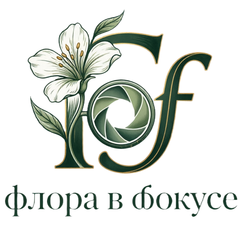 Флора в фокусе